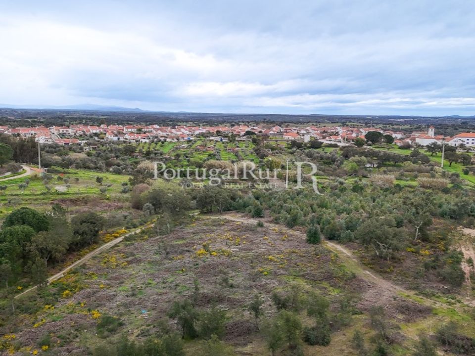 Terra a Gaviao, Portalegre - foto 5