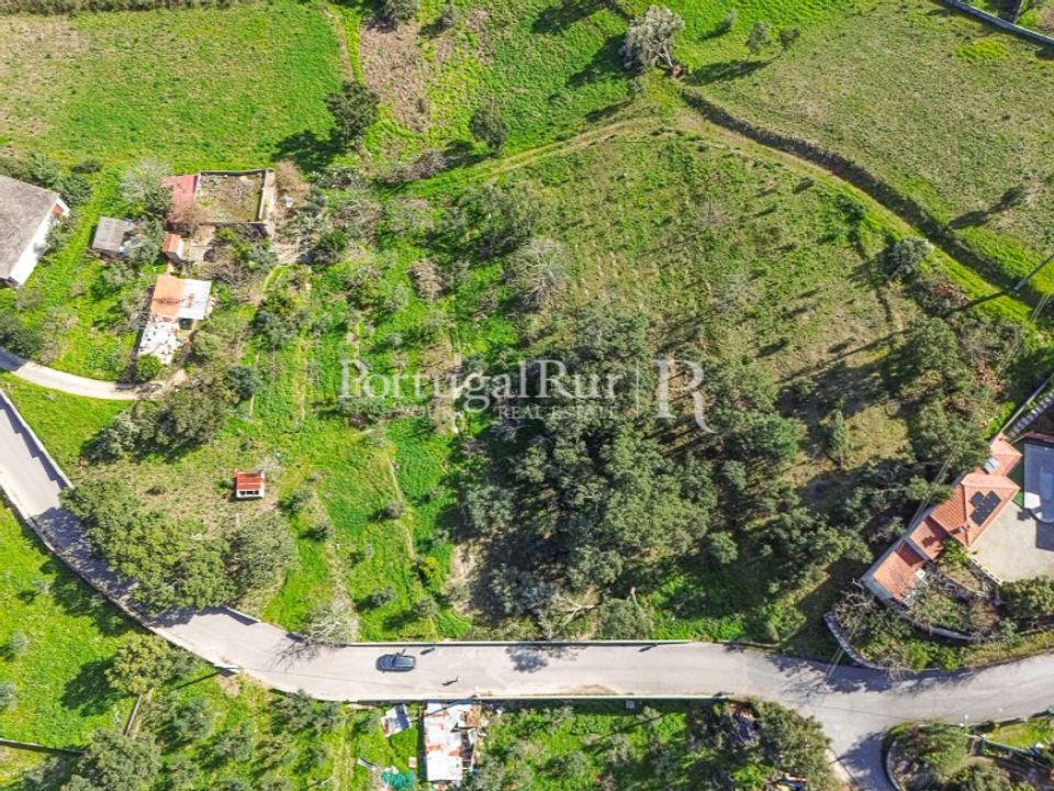 Helårsgrund i Proenca-a-Nova, Castelo Branco - foto 1