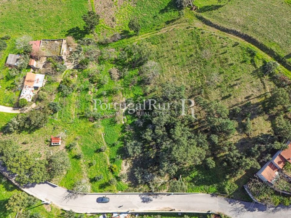 Helårsgrund i Proenca-a-Nova, Castelo Branco - foto 4