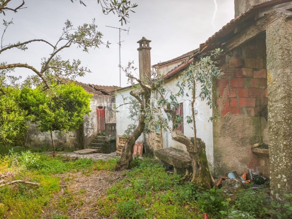 Farm i Soalheira, Castelo Branco - foto 1