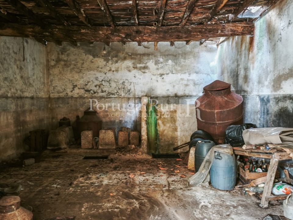 Farm i Soalheira, Castelo Branco - foto 4