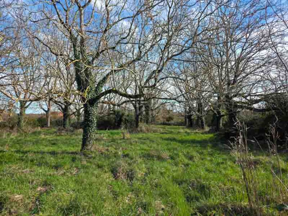 Helårsgrund i Sauze-Vaussais, Deux-Sevres - foto 1