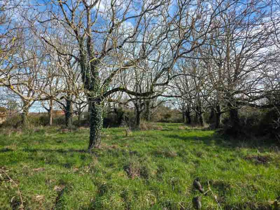 Helårsgrund i Sauze-Vaussais, Deux-Sevres - foto 3