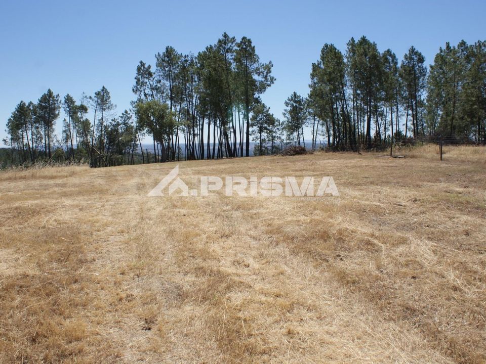 Helårsgrund i Vila Velha de Rodao, Castelo Branco - foto 5