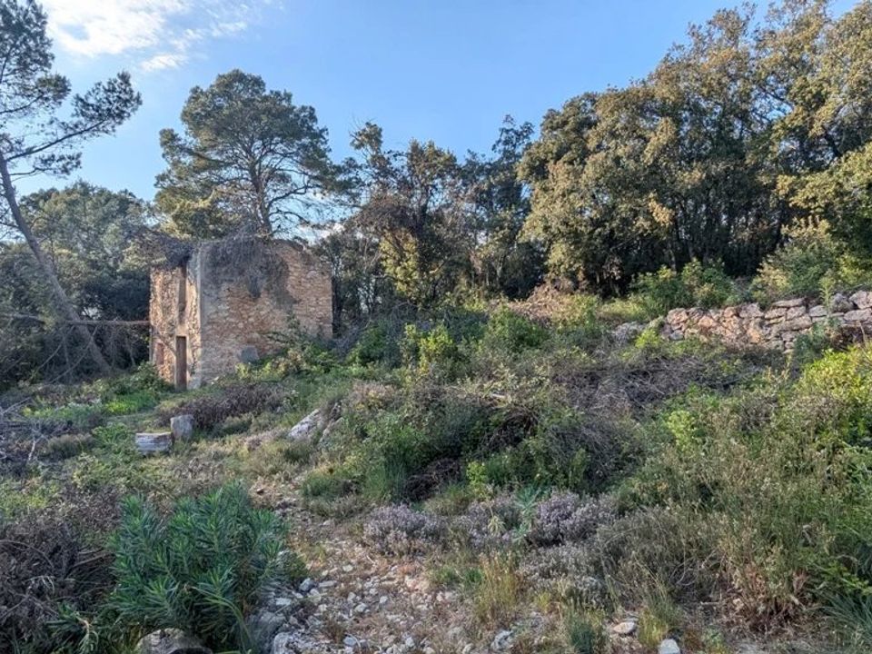 Helårsgrund i Carcès, Var - foto 1