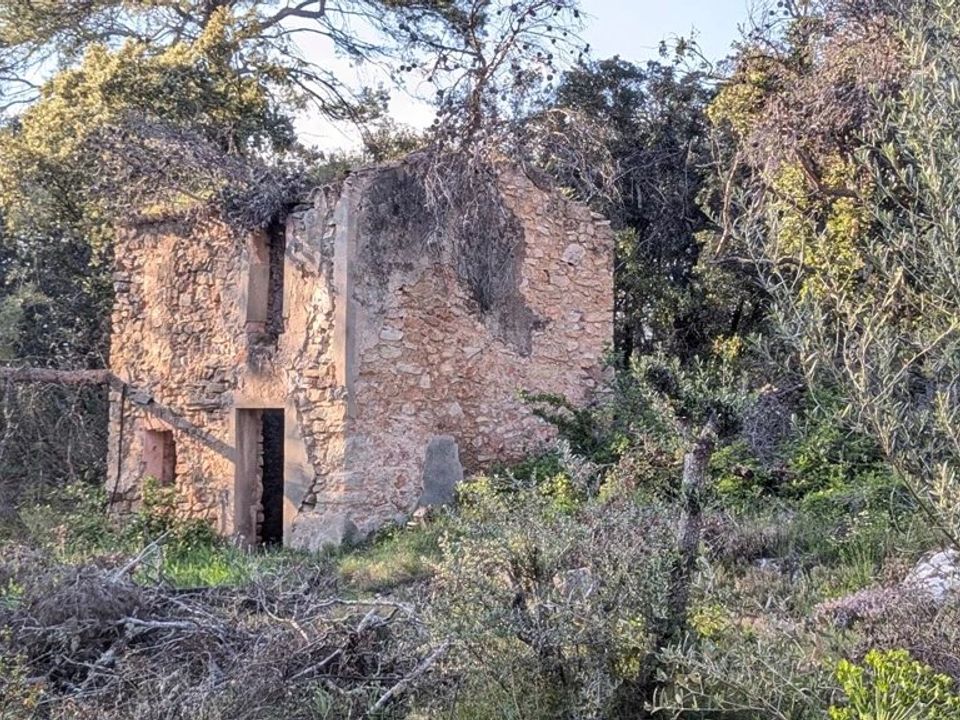 Helårsgrund i Carcès, Var - foto 2
