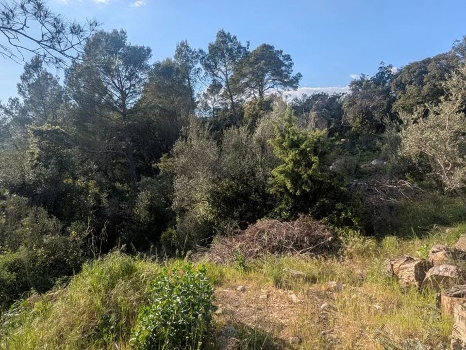 Helårsgrund i Carcès, Var - foto 4