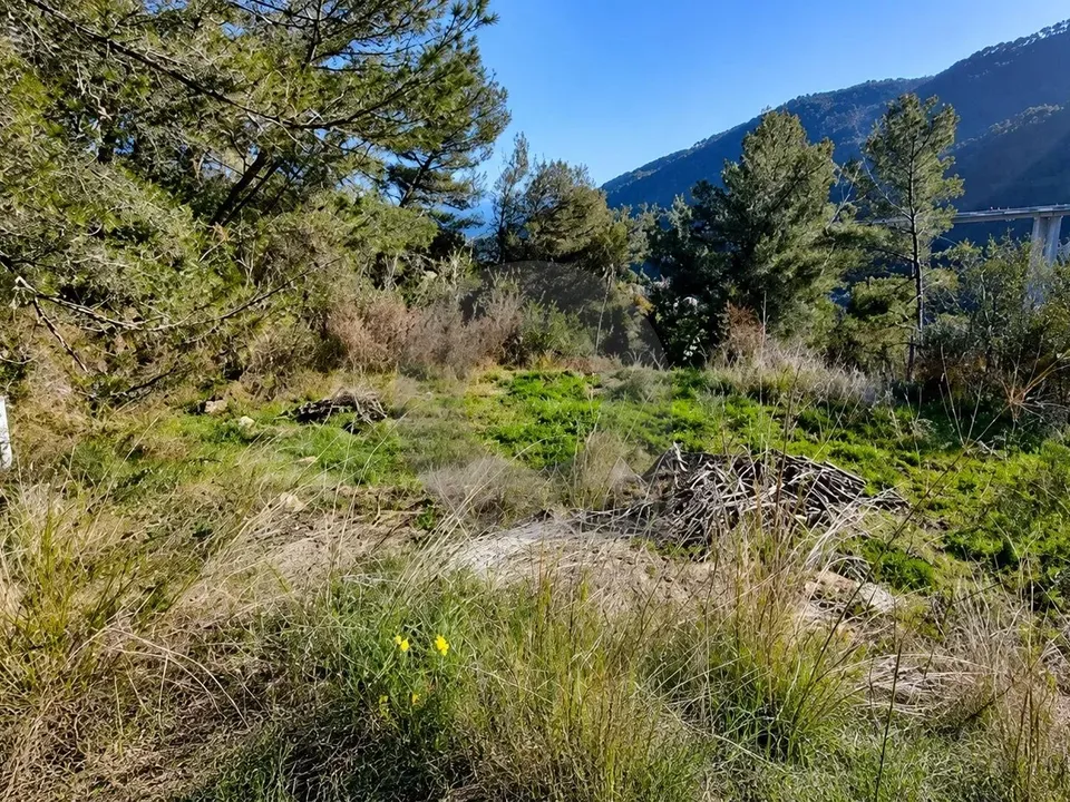 Terreno en Gorbio, Alpes-Maritimes - foto 1