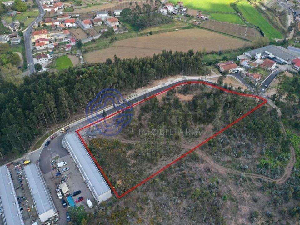 Helårsgrund i Santo Tirso, Porto - foto 2