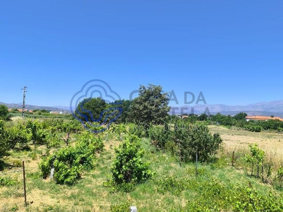 Helårsgrund i Fundao, Castelo Branco - foto 1