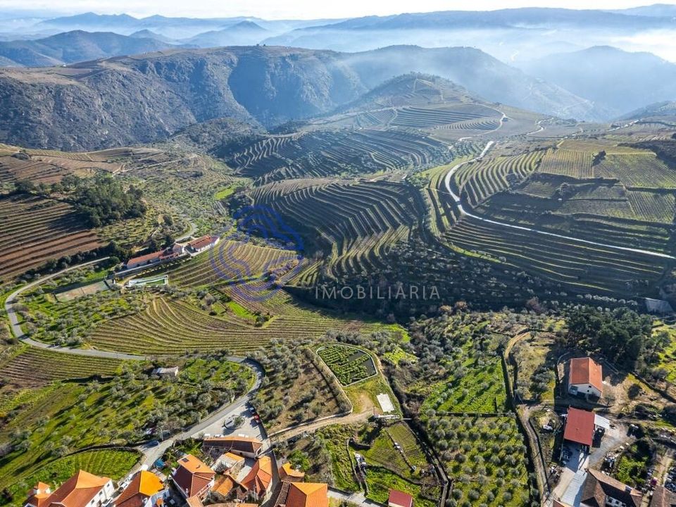 Granja a Alijo, Vila Real - foto 5