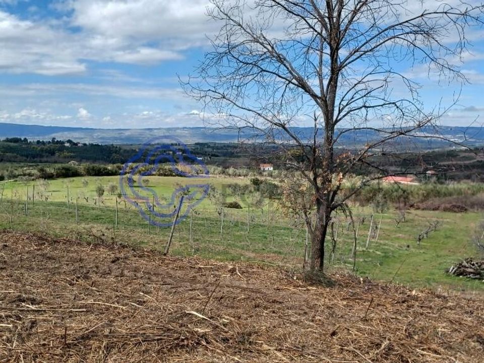 Farm i Gouveia, Guarda - foto 4