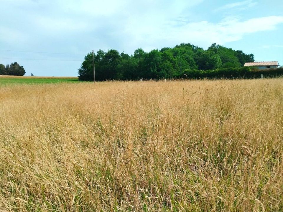 Terra em Merignac, Charente-Maritime - foto 1
