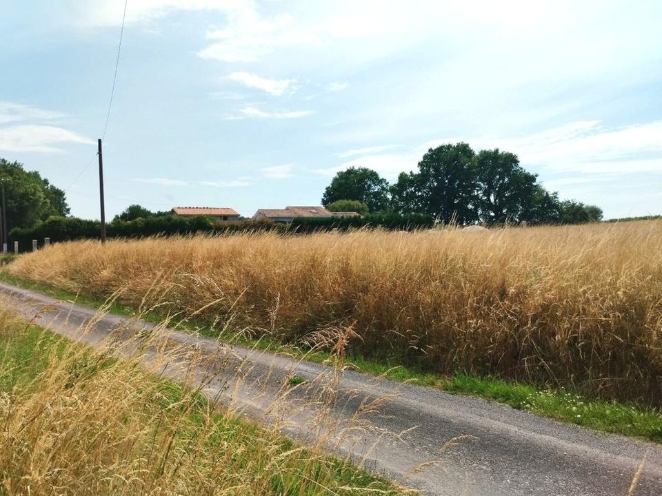 Terra em Merignac, Charente-Maritime - foto 2