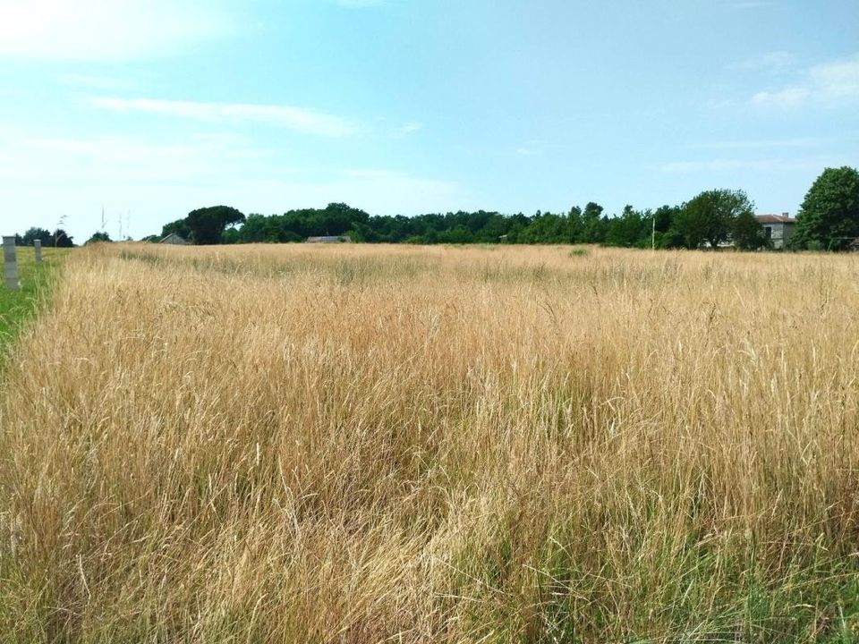 Terra em Merignac, Charente-Maritime - foto 3