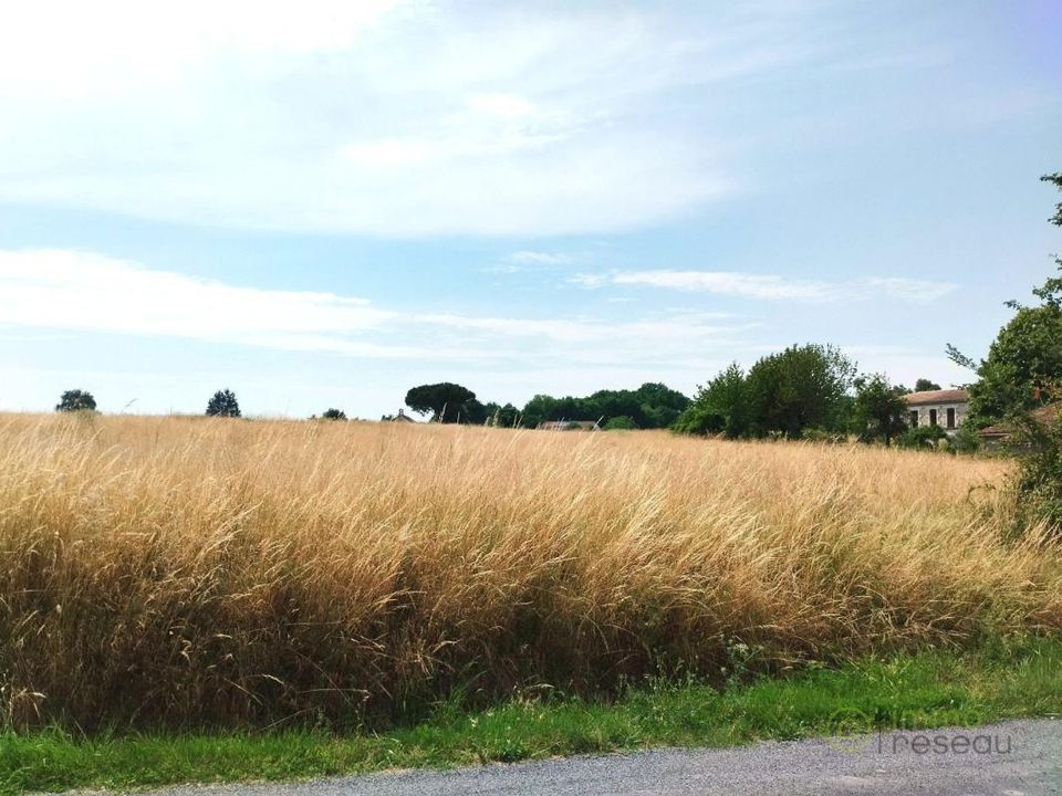 Terra em Merignac, Charente-Maritime - foto 1