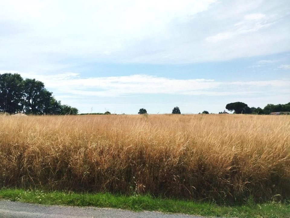 Terra em Merignac, Charente-Maritime - foto 2