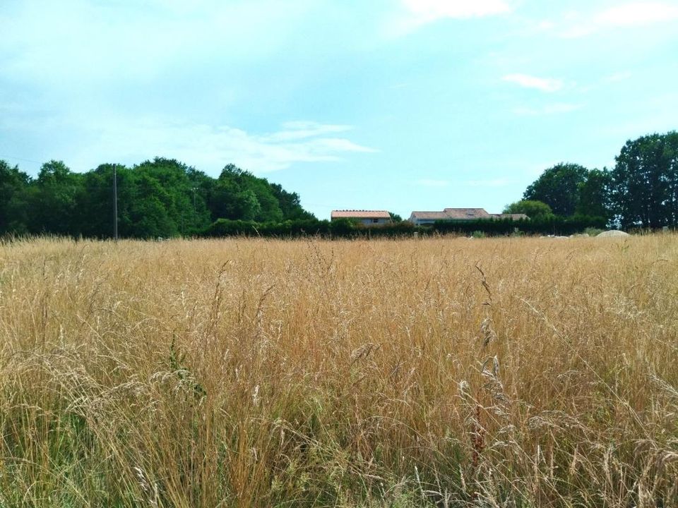 Terra em Merignac, Charente-Maritime - foto 2
