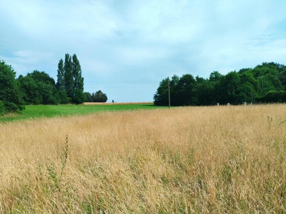 Terra em Merignac, Charente-Maritime - foto 3