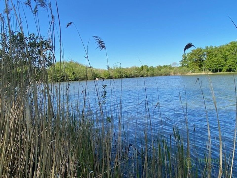 Terra a Saint-Hilaire-les-Andresis, Loiret - foto 2