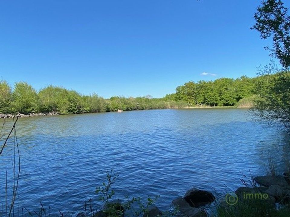 Terra a Saint-Hilaire-les-Andresis, Loiret - foto 3