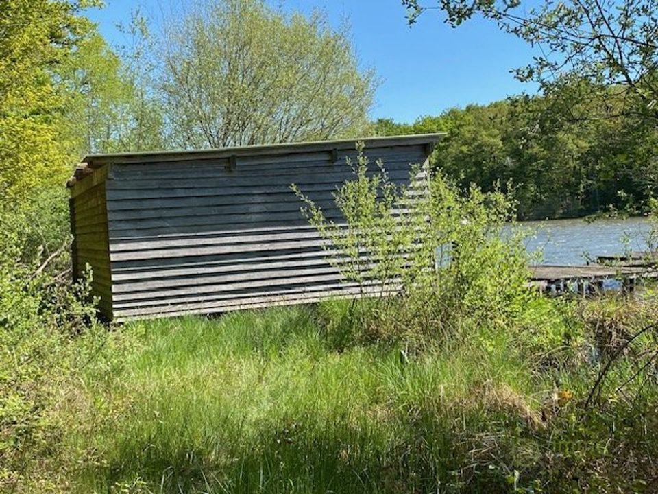 Terra a Saint-Hilaire-les-Andresis, Loiret - foto 5