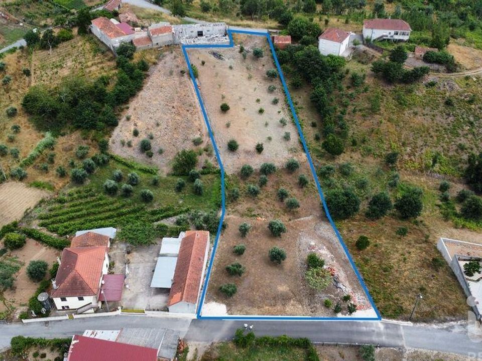 Tomt i Pedrogao Grande, Leiria - bilde 1