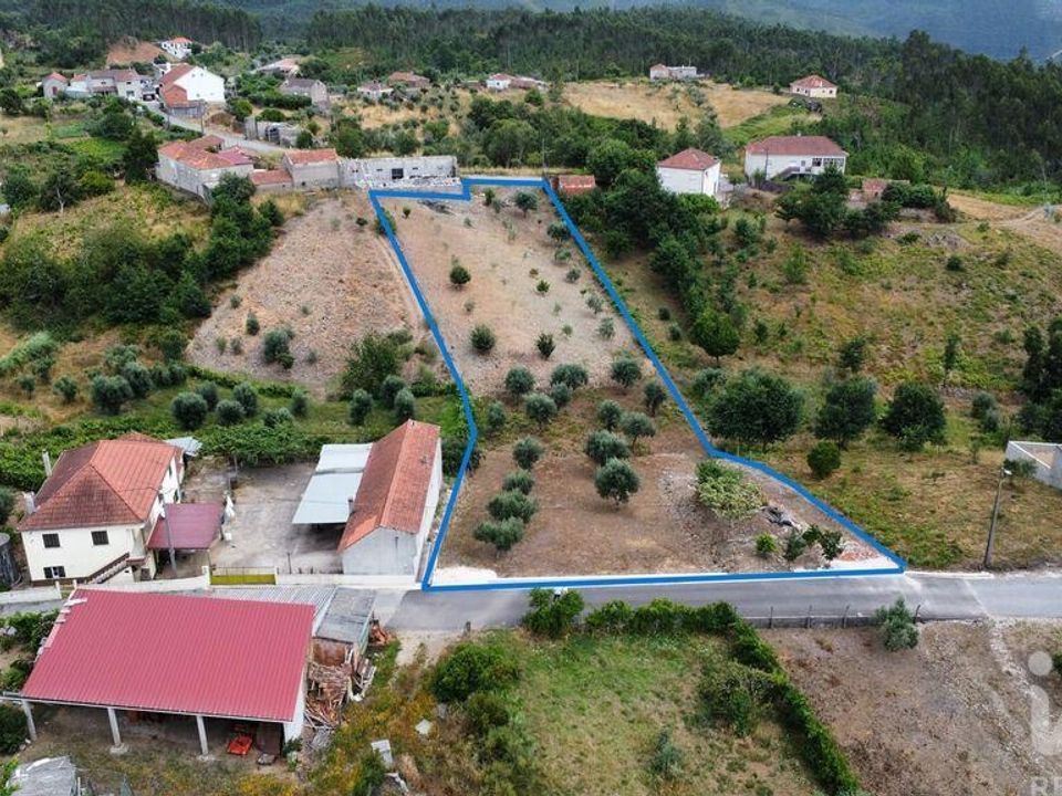 Tomt i Pedrogao Grande, Leiria - bilde 3