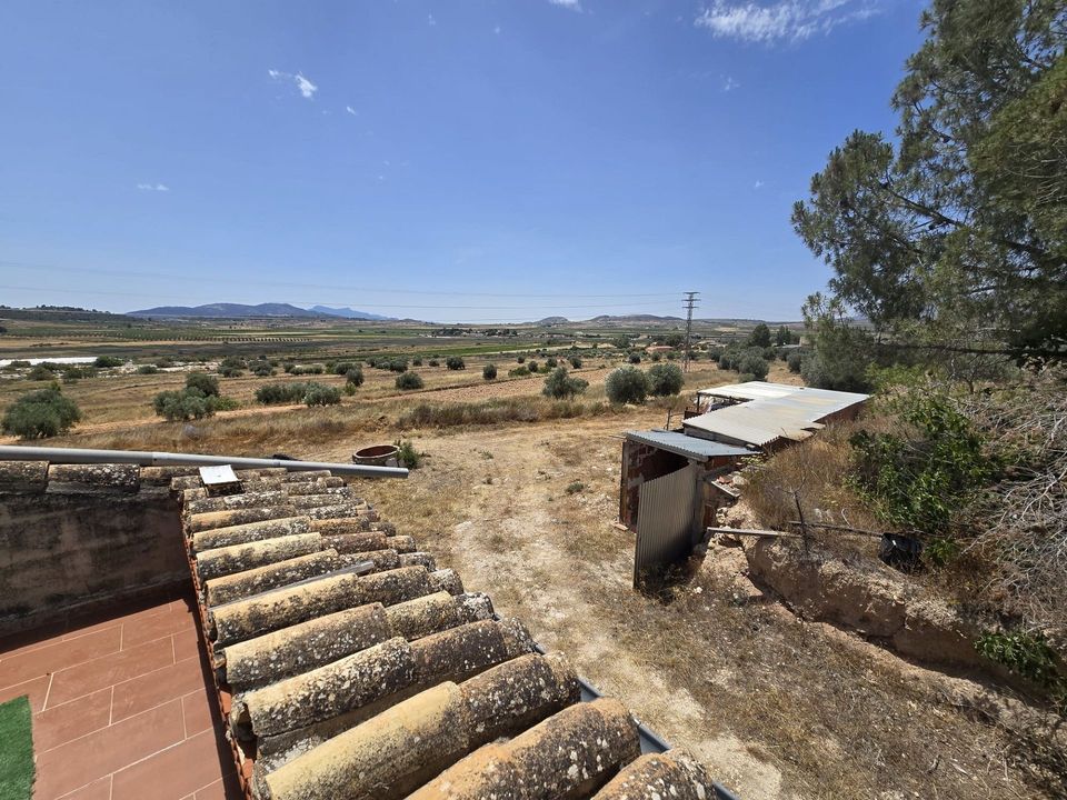 Landejendom i Pinoso, Alicante - foto 4