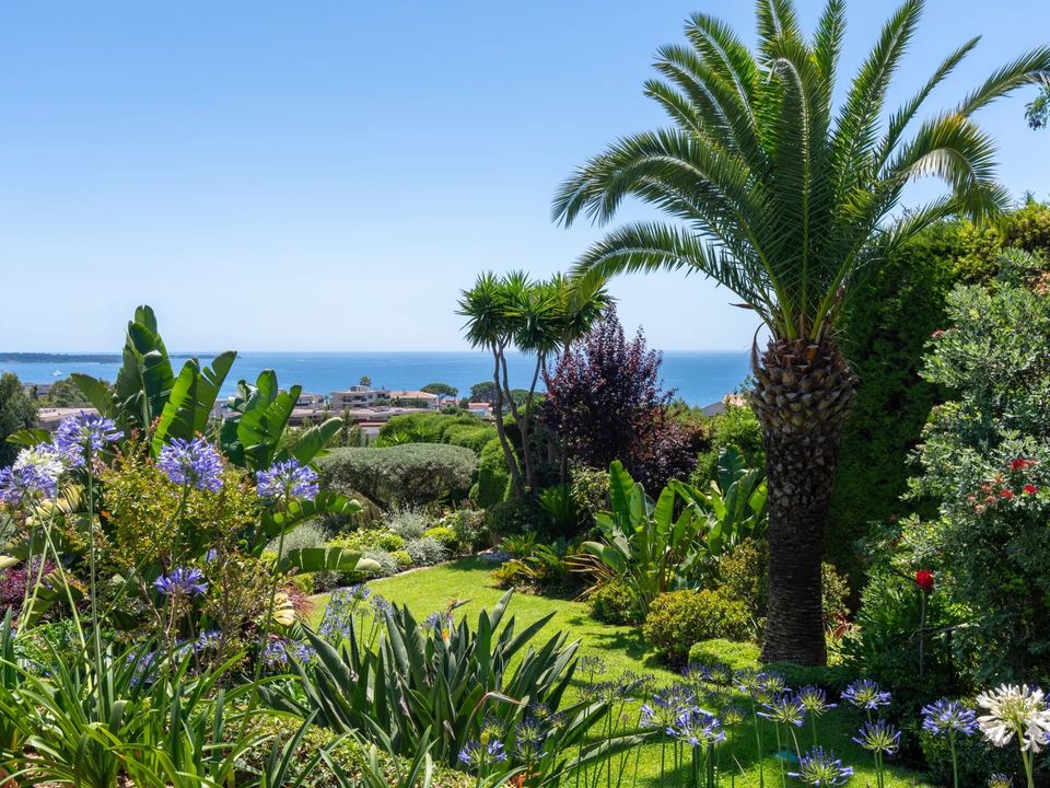 Villa i Cannes, Alpes-Maritimes - foto 3