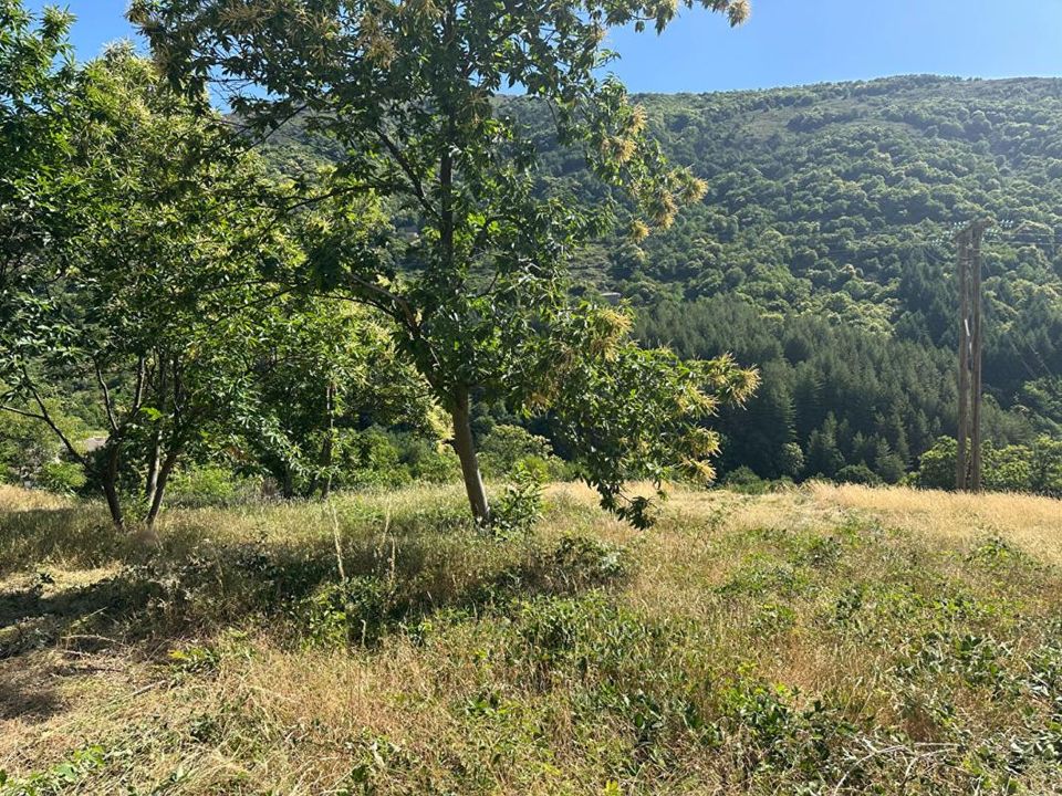 Działka: Sablieres, Ardeche – zdjęcie 2