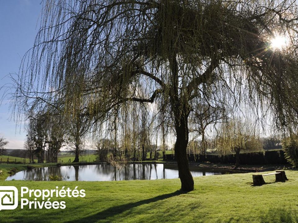 Tomt i Montigné-le-Brillant, Mayenne - bilde 3
