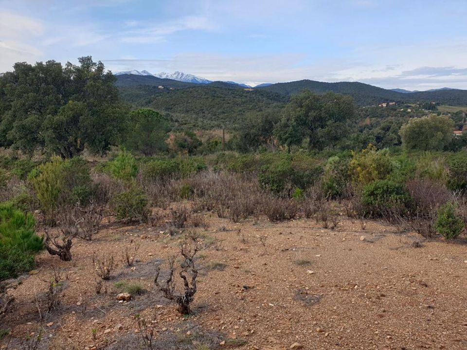 Terra em Tordères, Pyrenees-Orientales - foto 4