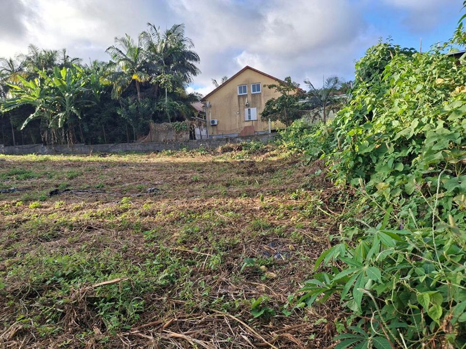 Terra a Le Tampon, La Reunion - foto 4