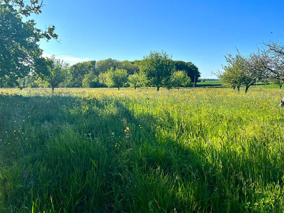 Villa in Saint-Marc-du-Cor, Loir-et-Cher - foto 4