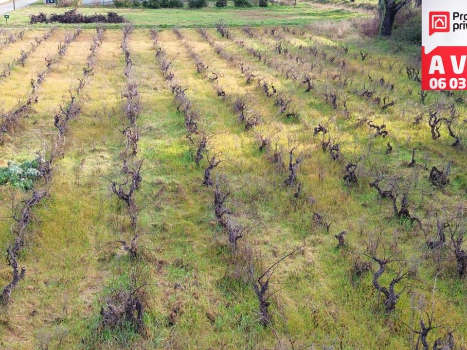Terra a Sainte-Cecile-les-Vignes, Vaucluse - foto 1