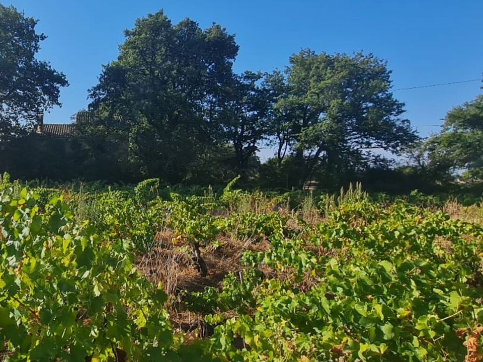 Terra a Sainte-Cecile-les-Vignes, Vaucluse - foto 2