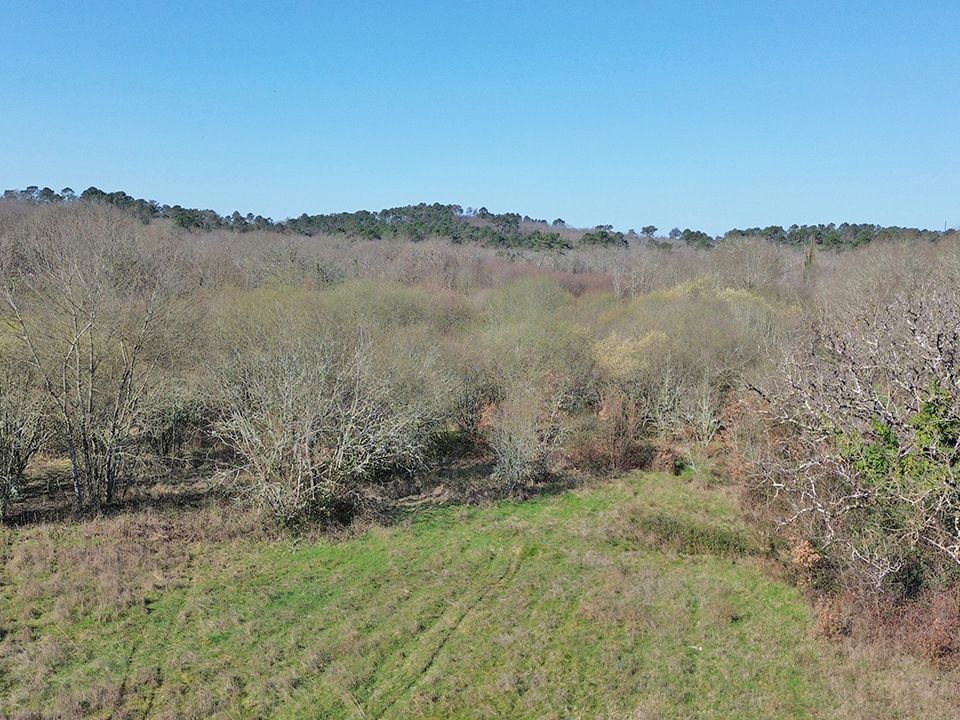 Działka: Nabirat, Dordogne – zdjęcie 3