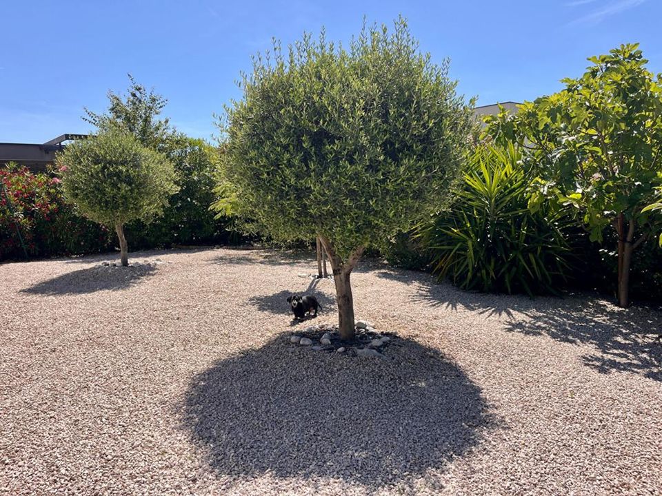 Villa i Pinet, Herault - foto 5
