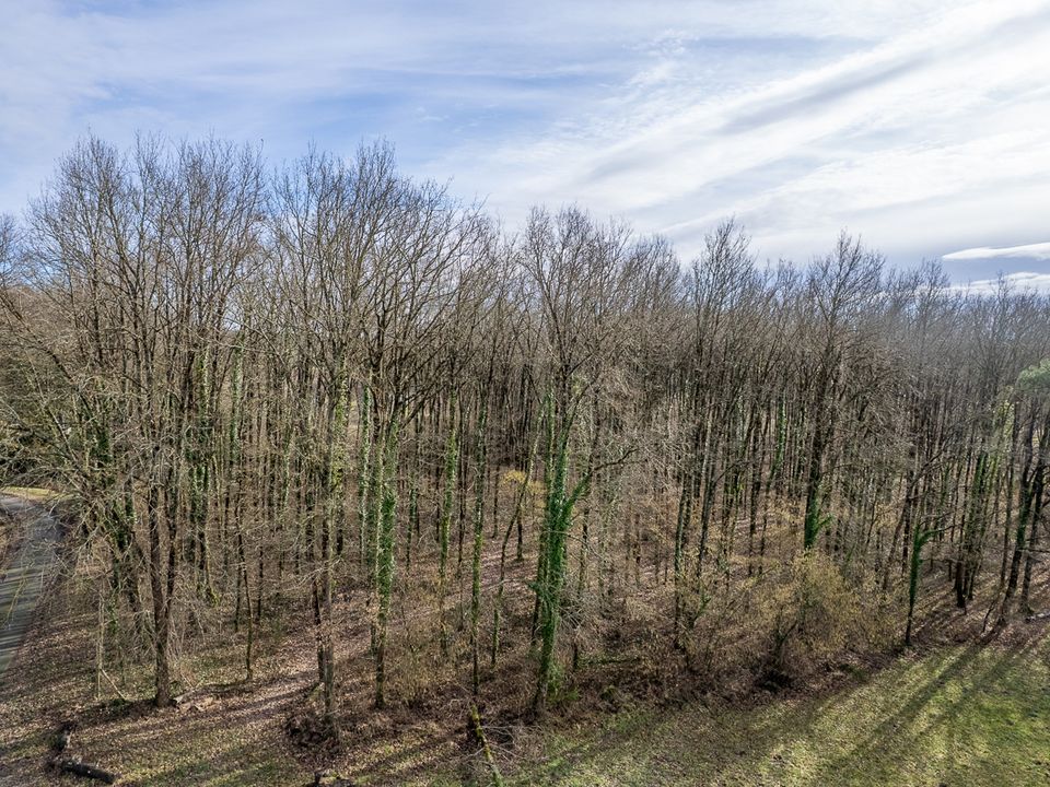 Helårsgrund i Thénioux, Cher - foto 4