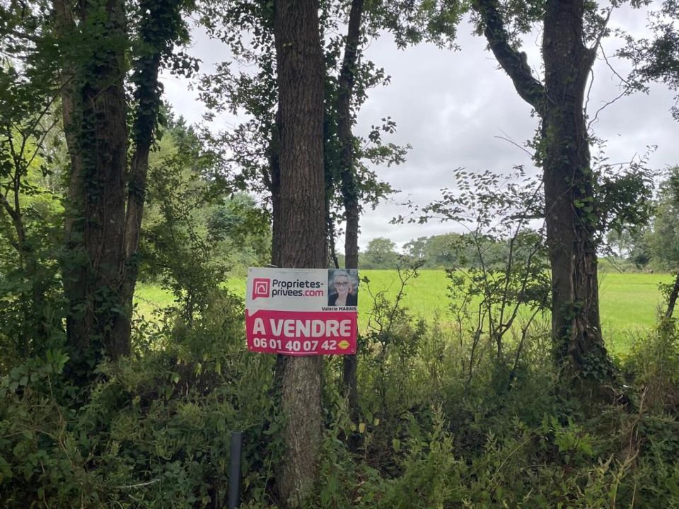 Helårsgrund i Saint-Lyphard, Loire-Atlantique - foto 1