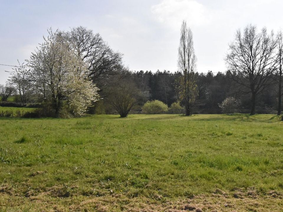 Helårsgrund i La Plaine, Maine-et-Loire - foto 5