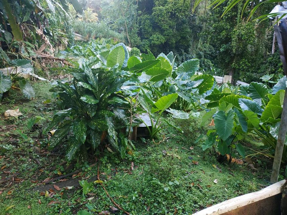 Villa i Gros-Morne, Martinique - foto 5