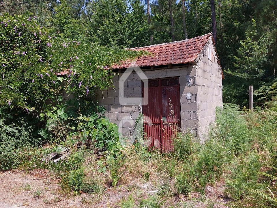 Helårsgrund i Vouzela, Viseu - foto 2