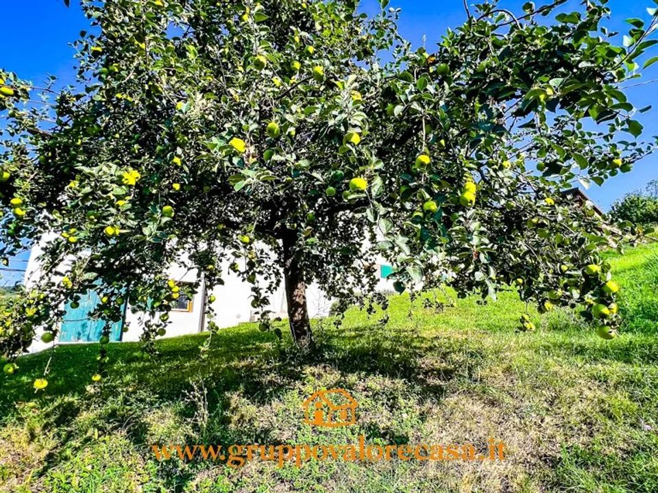 Villa i Acqui Terme, Alessandria - foto 5