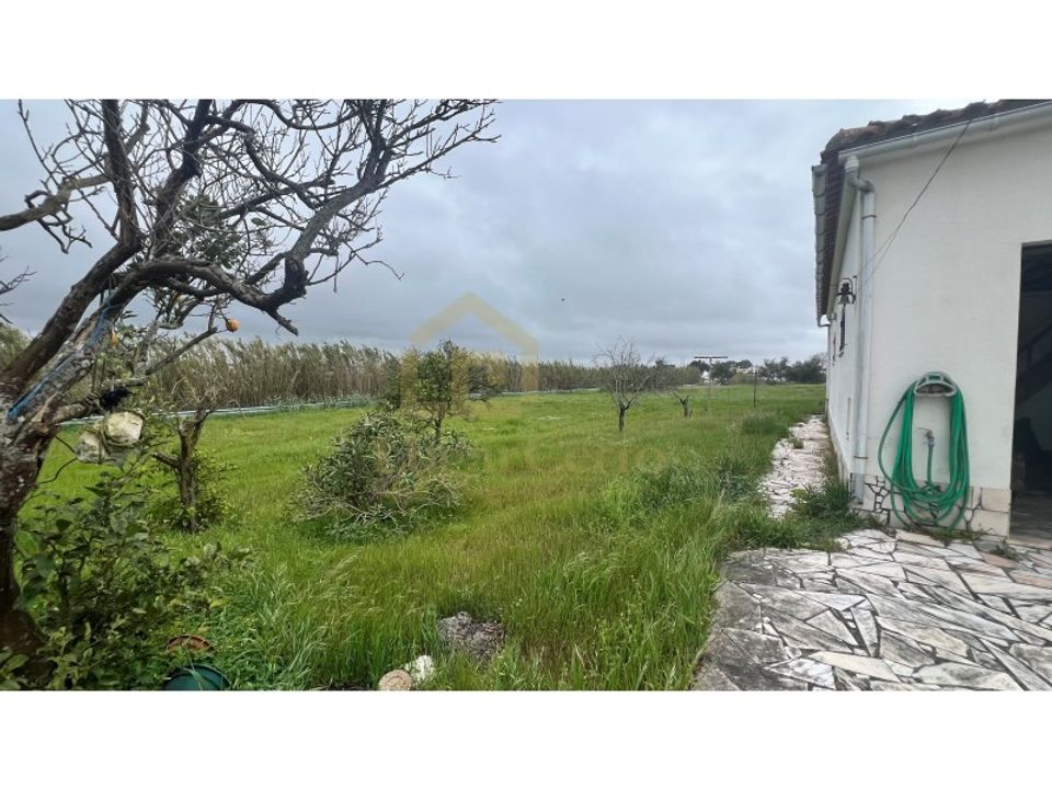Farm i Moita, Setubal - foto 2