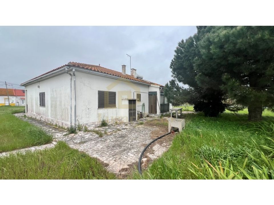 Farm i Moita, Setubal - foto 5