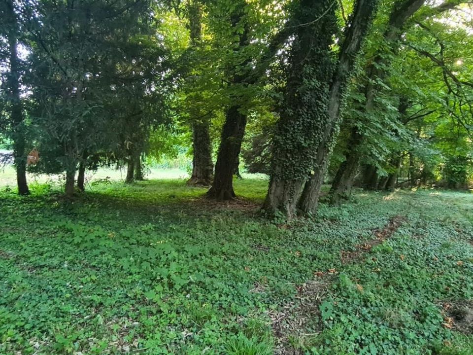 Helårsgrund i Dijon, Cote-d'Or - foto 1