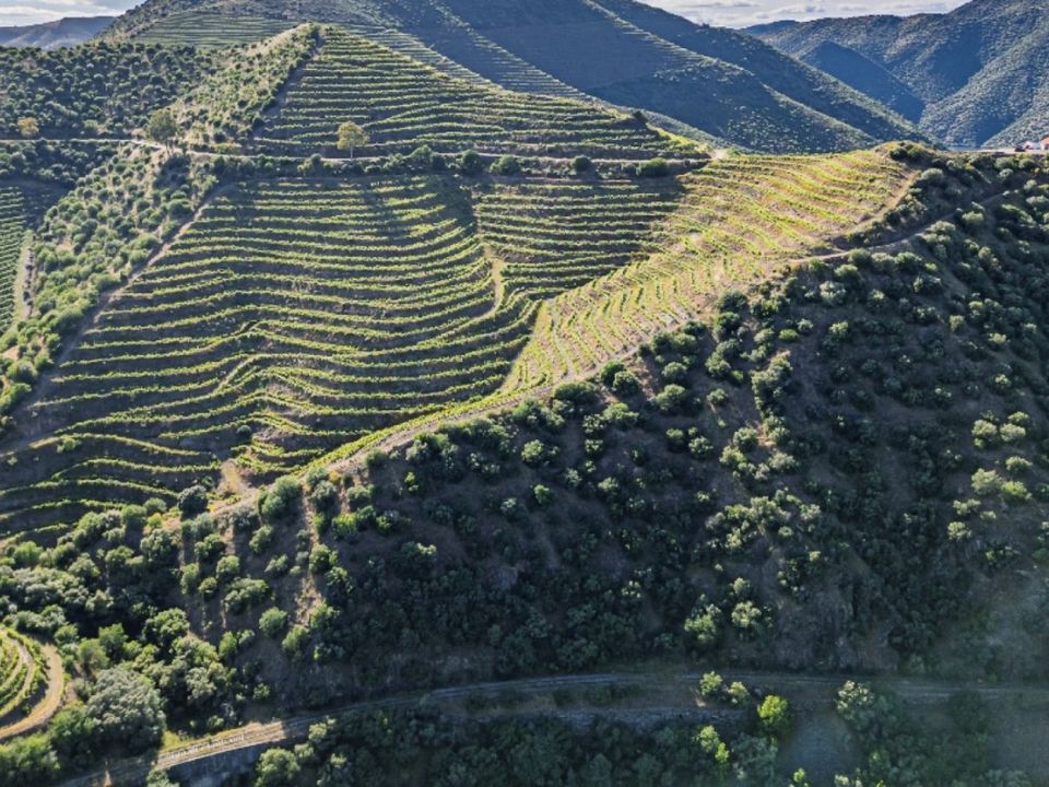 Farm i Vila Nova de Foz Coa, Guarda - foto 4