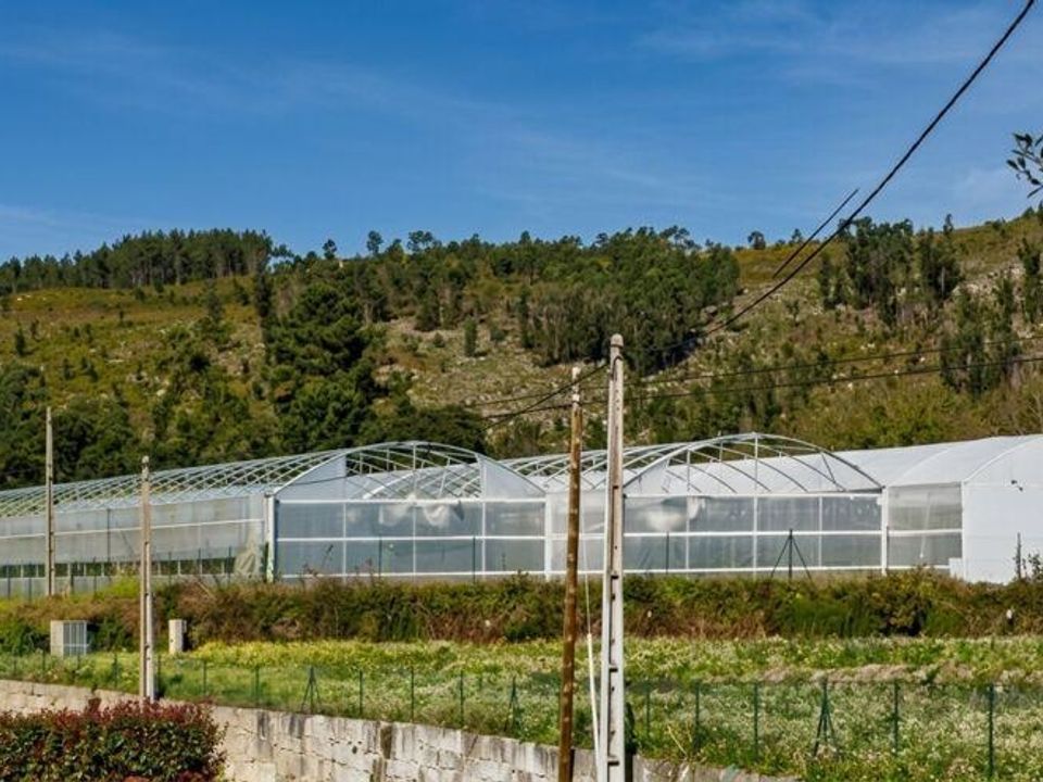 Terrain - Valenca, Viana do Castelo - photo 1
